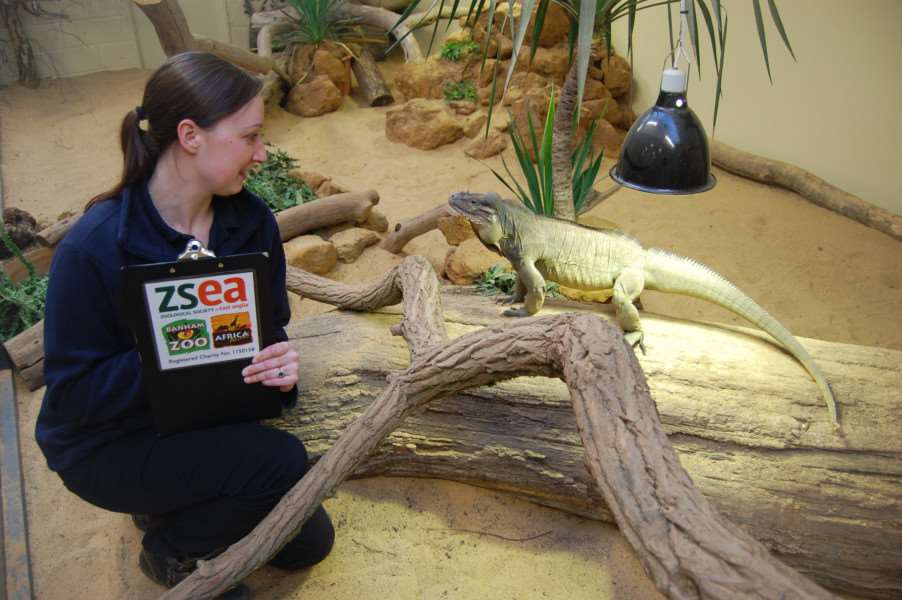 Jade House of Banham Zoo taking part in the yearly count of animals. ANL-170301-163141001