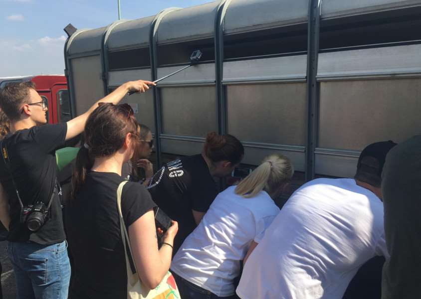 Activists taking photos and videos of pigs in a truck outide C&K Meats.