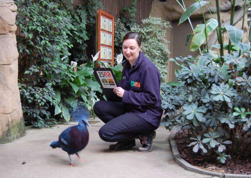Jade House of Banham Zoo taking part in the yearly count of animals. ANL-170301-163204001