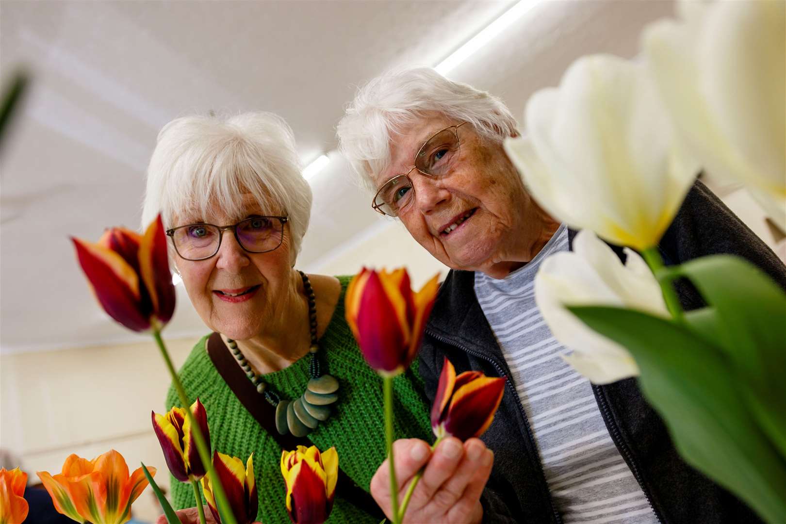 Helen Bentley and Linda Mills. Picture: Mark Bullimore