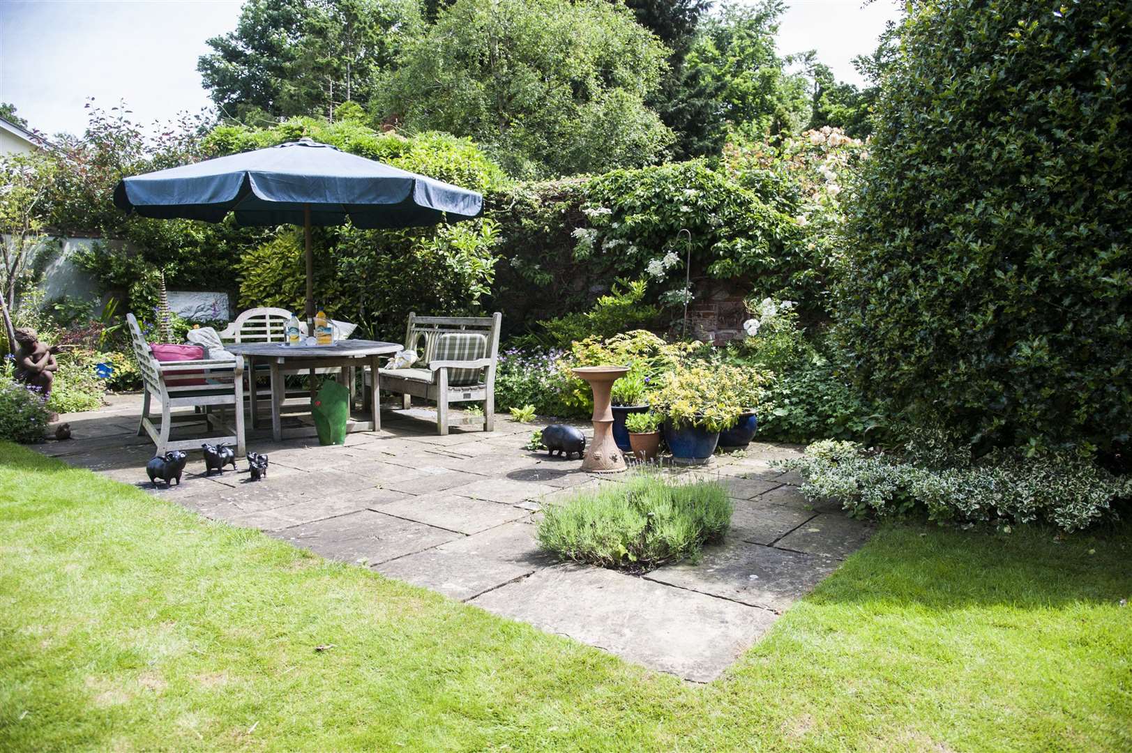 Harleston open gardens two years ago.