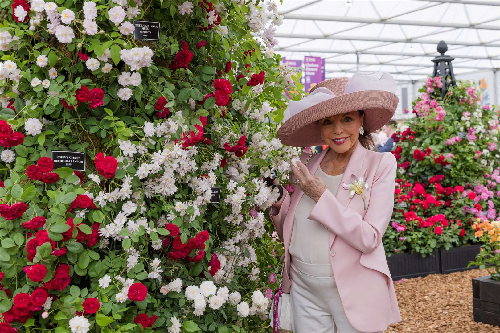 Dame Joan Collins. Pictures: Keith Mindham