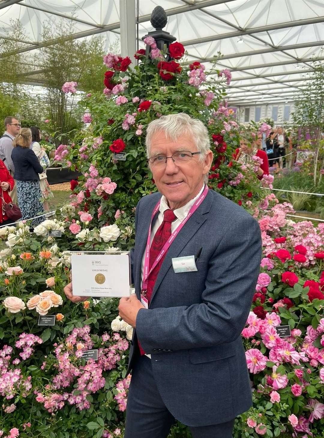 Nursery manager for Peter Beales Roses, Ian Limmer, with the gold medal certificate. Picture: Peter Beales