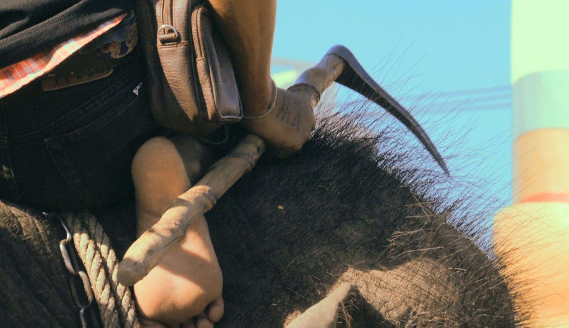 Mahout (a person who works with, rides, and tends an elephant) and bullhook. The bullhook is used to control the elephant. Picture: Bungalow Town