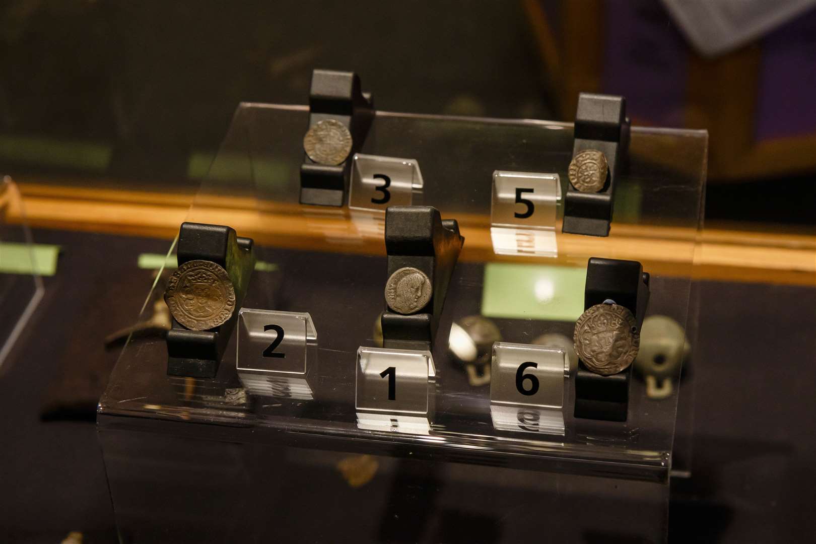 A selection of coins unearthed by the pair.