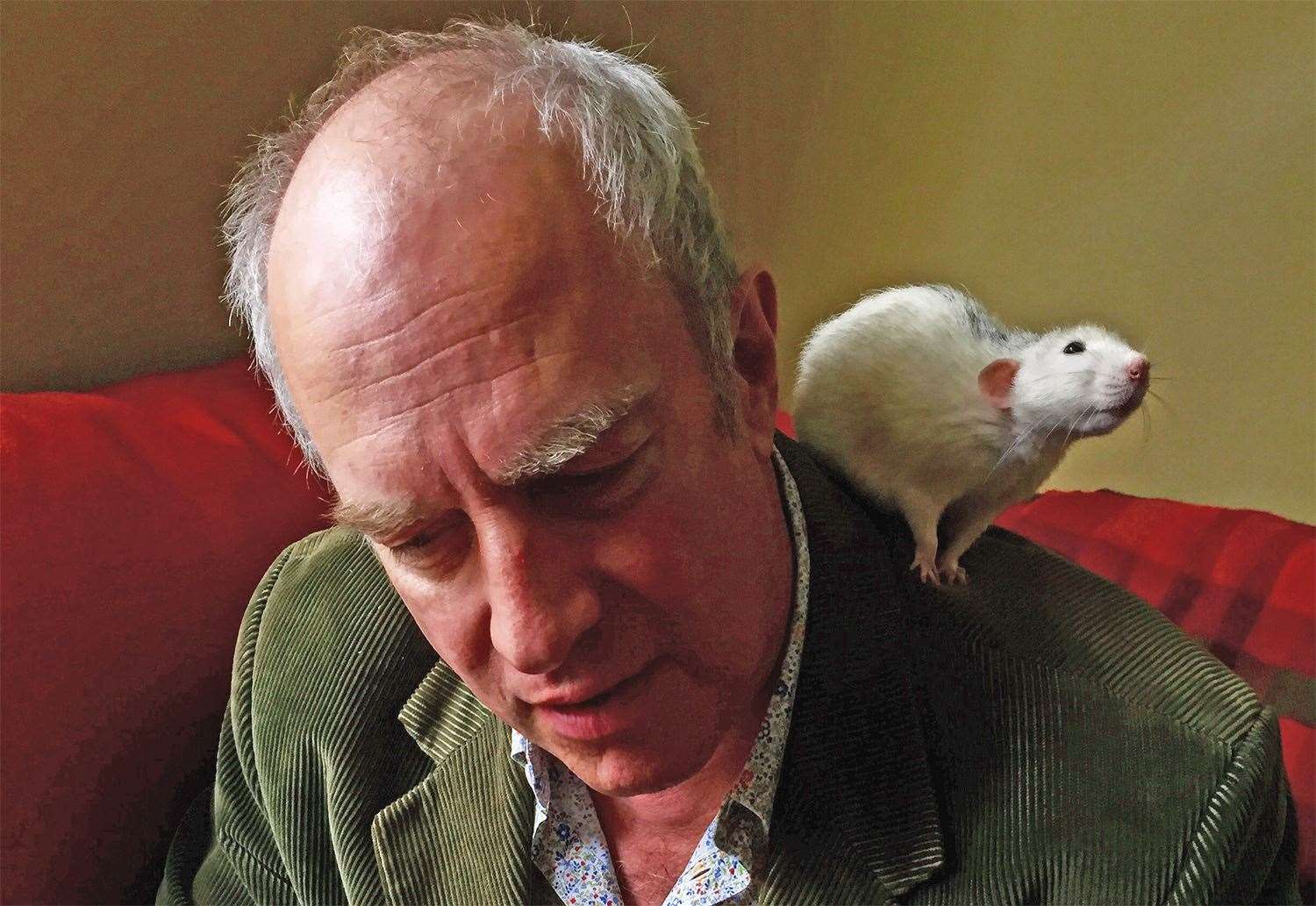 Martin Rowson will judge the competition. Picture supplied by Martin Rowson