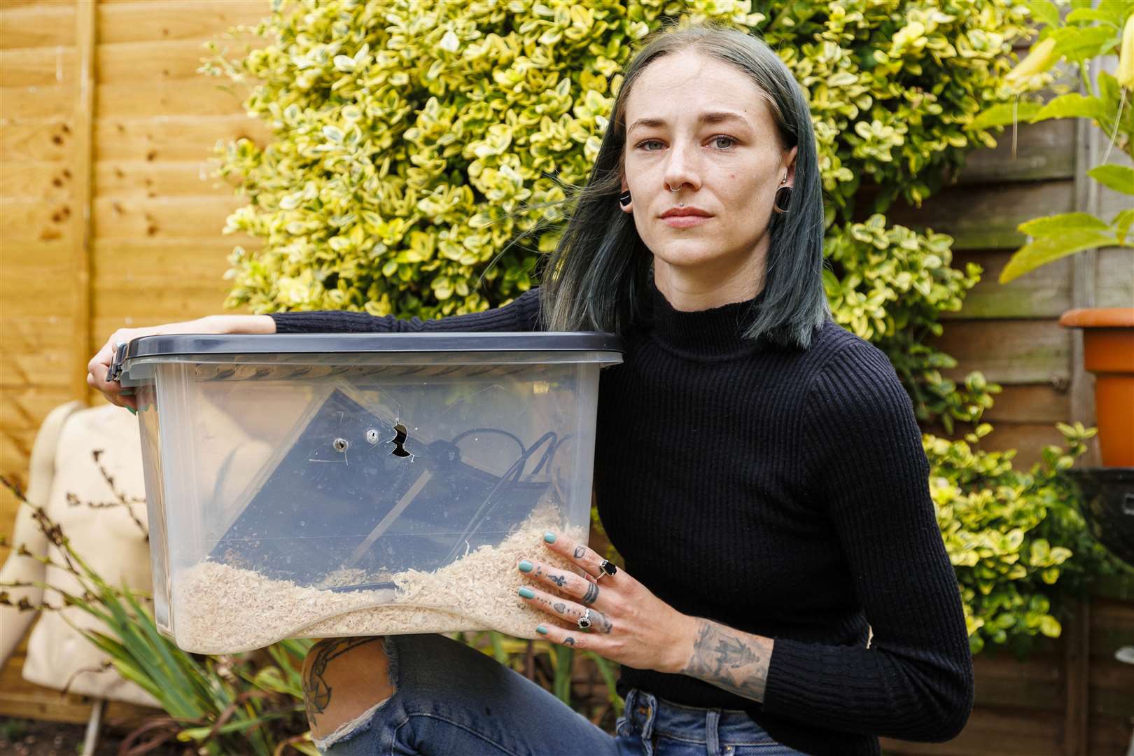 Miss Lingwood has been keeping the snake in a plastic tub for the time being. Picture: Mark Bullimore Photography 2022.