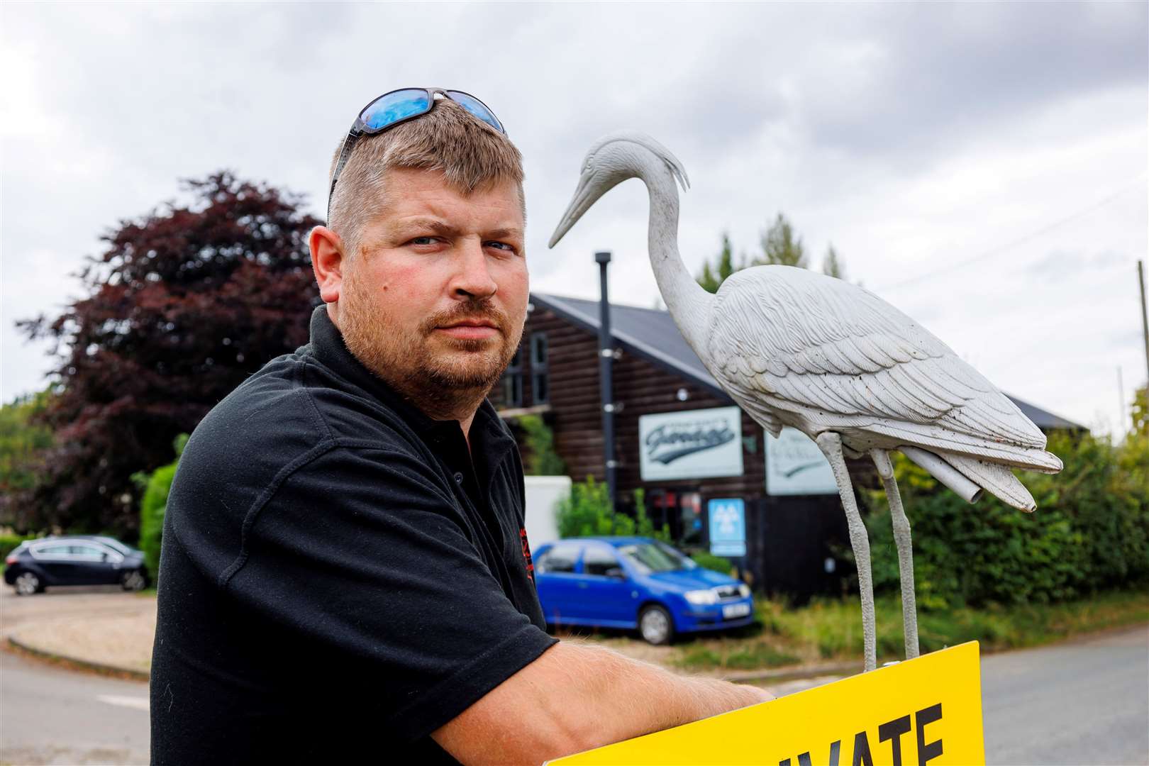 The three herons, rook and pigeon have taken up home in Hall Lane.