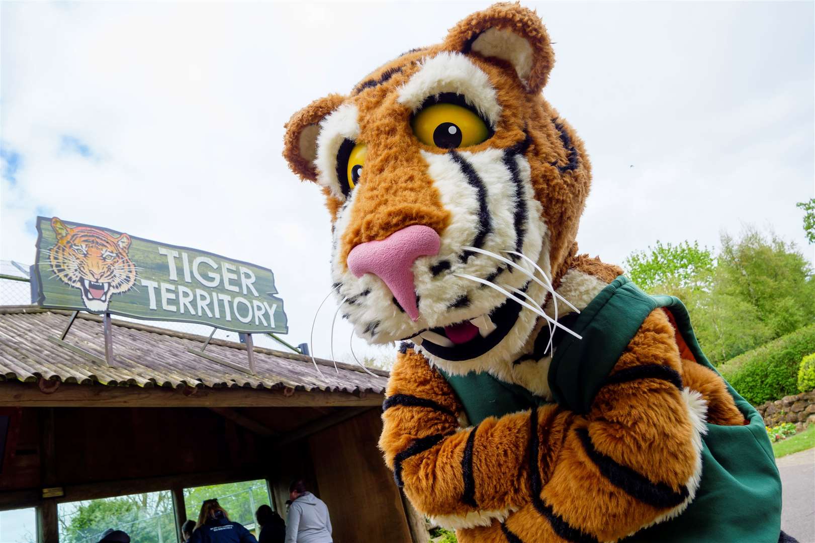 Banham, Norfolk, 20/04/2024TV’s Paw Patrol themed family fun day at Banham Zoo with fans getting the chance to meet Marshall, pictured is Toby the Tiger. Picture: Mark Bullimore Photography 2024