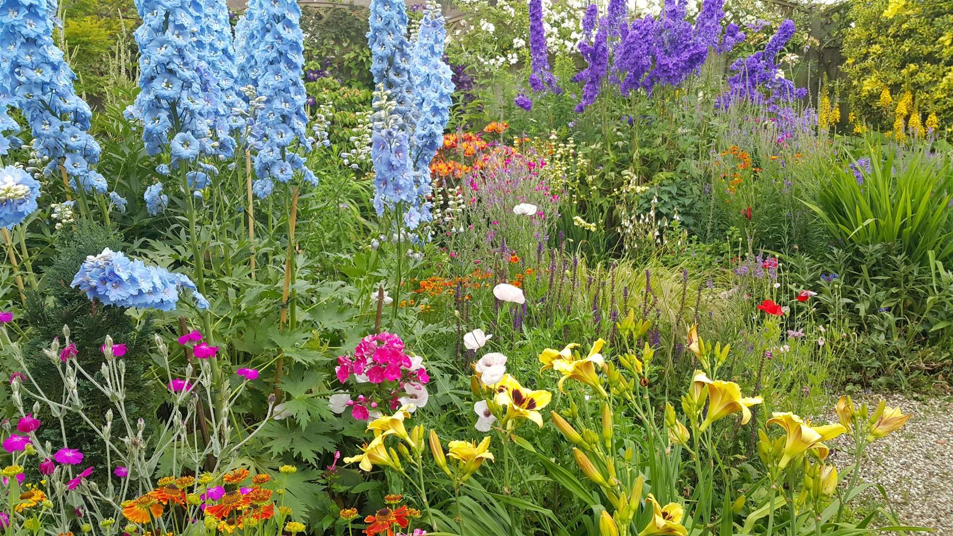 The 70+ open gardens allow visitors to see a wide range of flowers.