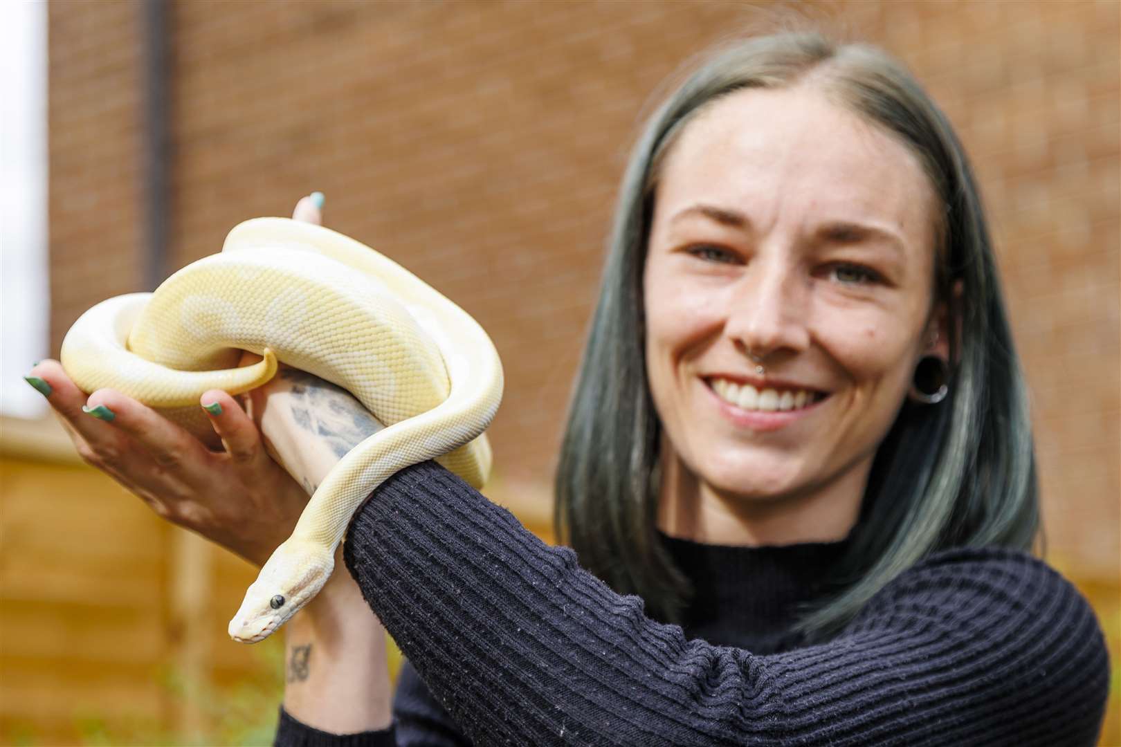 The python, which is yet to be given a name, was discovered at a flat in Essex. `Picture: Mark Bullimore Photography 2022.