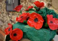 Some of the ceramic poppies made by the patients of the patients at St. Johns House Hospital, Palgrave. Photo: Angela Broadberry ANL-141222-104014001