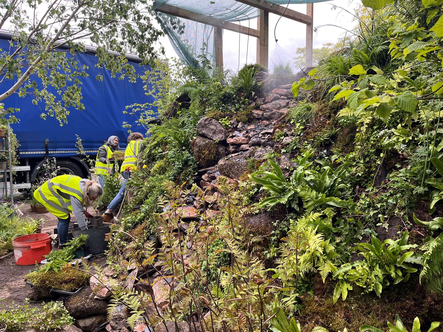 The mosses and ferns of the Wildlife Trusts’ rainforest garden have not enjoyed the dry conditions in the build-up to the show (Emily Beament/PA)
