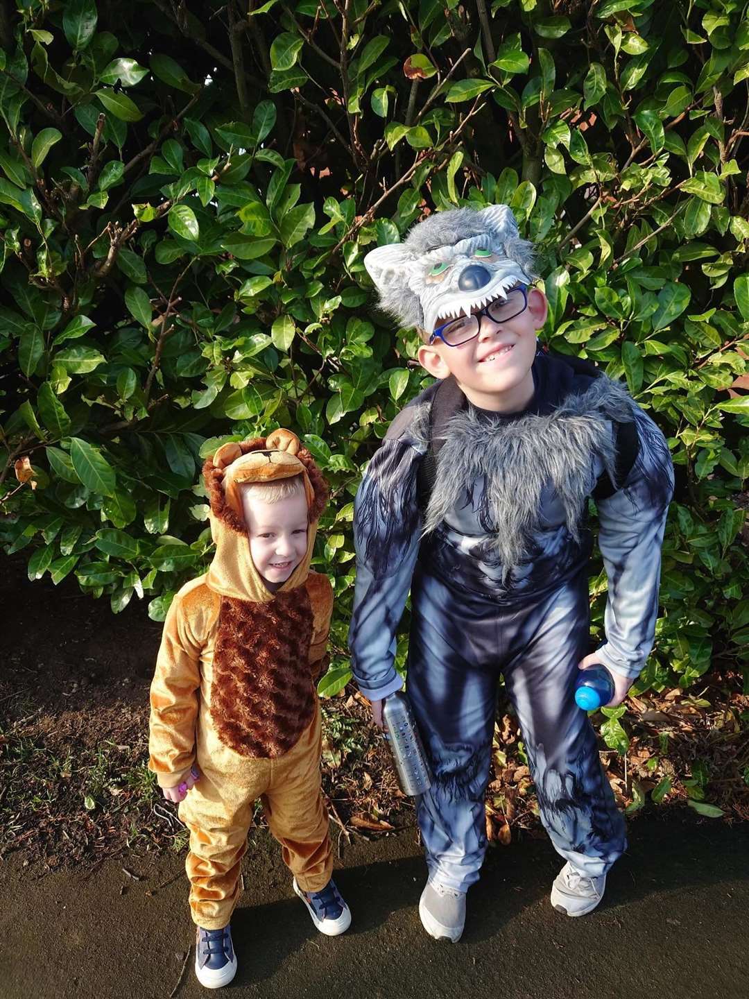 Oscar Collins, eight, as a wolf from the Wolf Brother series and Logan Collins, four, as a lion from The Jungle Book.