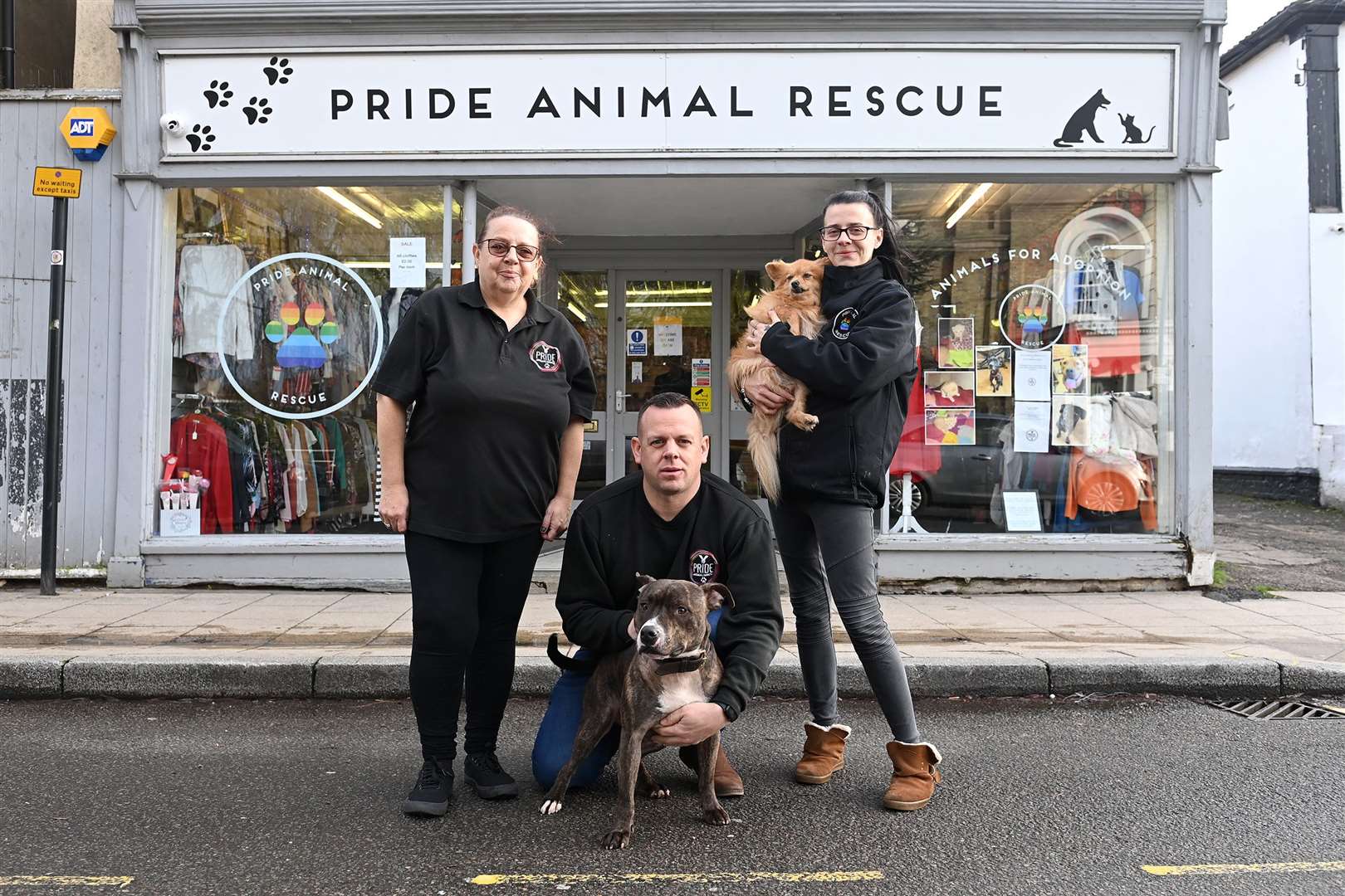 Pride Animal Rescue have seen a sharp rise over the past few months.