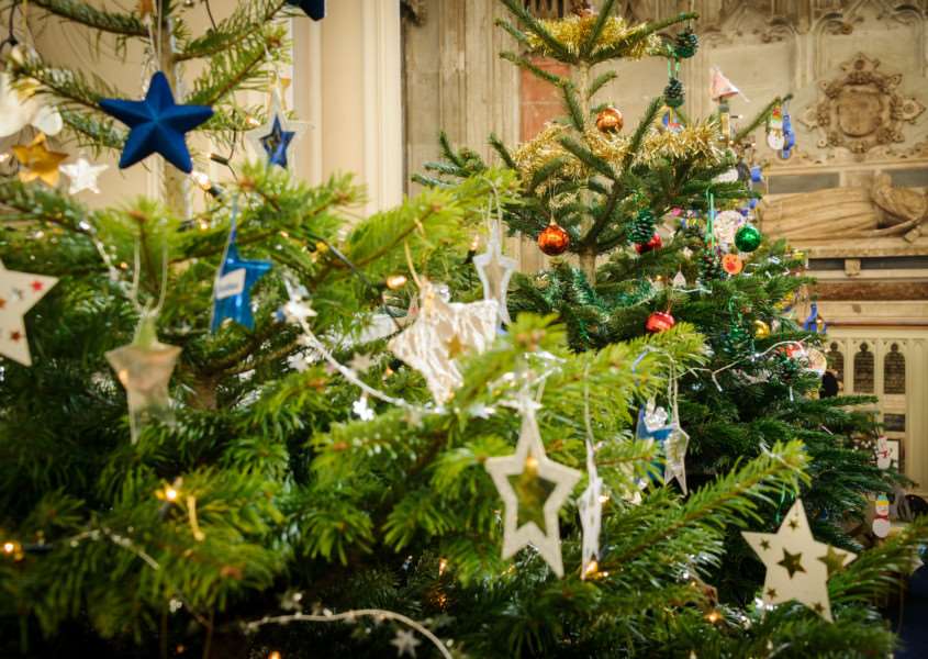 Recycle your Christmas tree this festive season