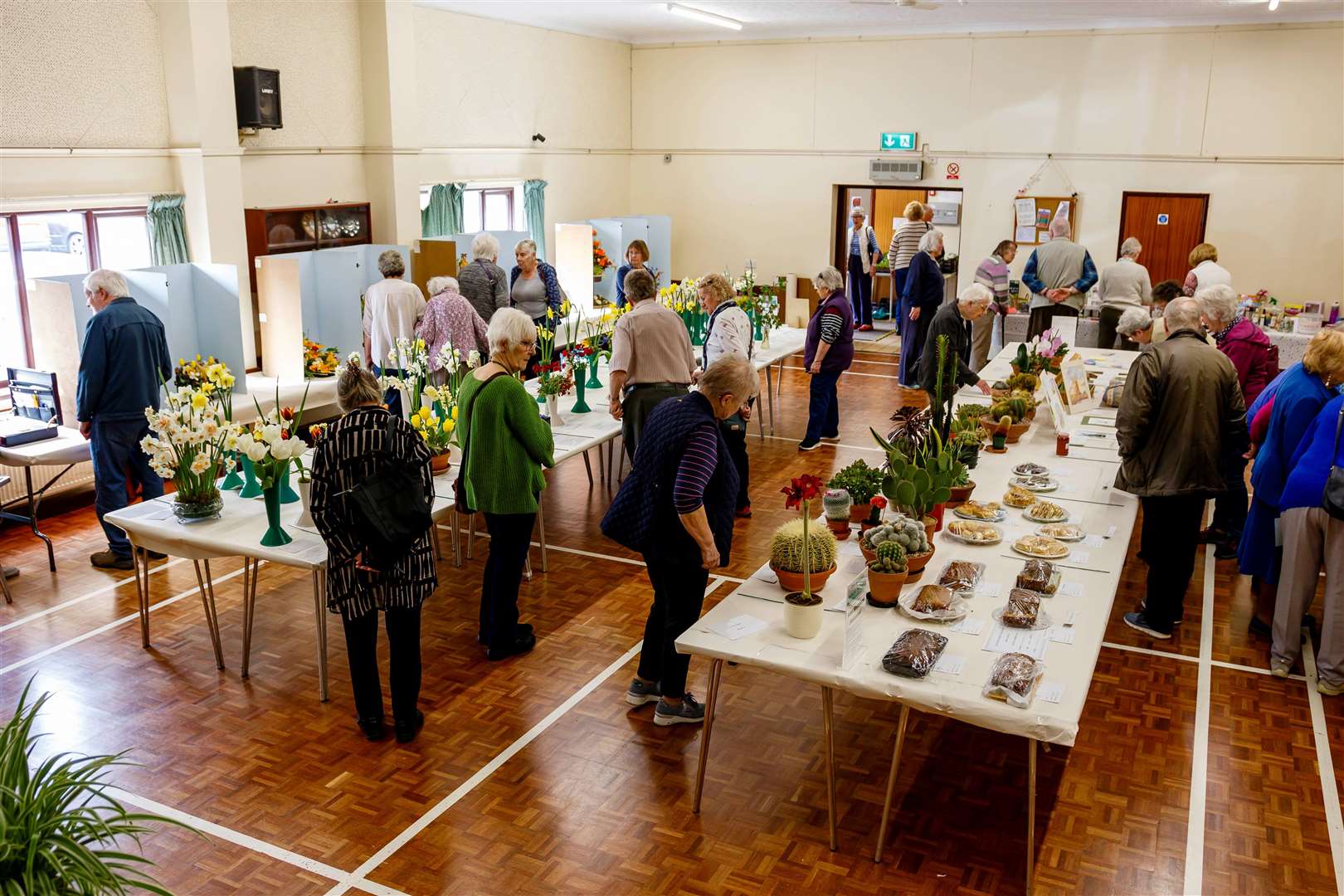 Diss and District Horticultural Society held its annual Spring Flower Show at Roydon Village Hall. Picture: Mark Bullimore
