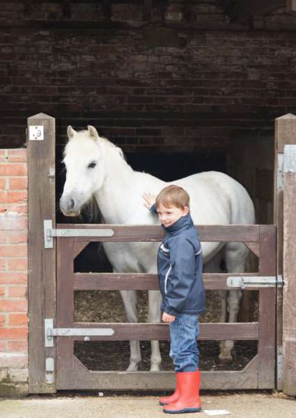 Redwings will host an open day at its Hapton headquarters on Sunday, July 23. Submitted photo.