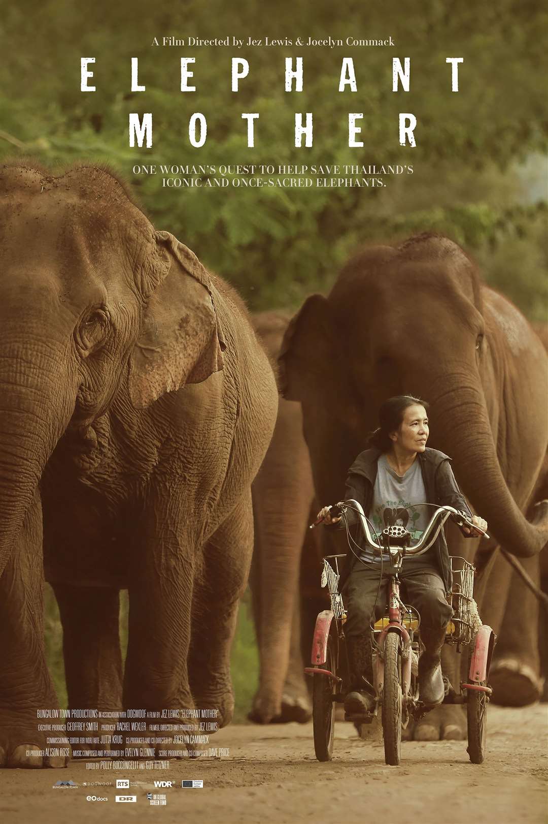 Elephant Mother is Suffolk film-maker Jez Lewis’ latest film. Picture: Bungalow Town