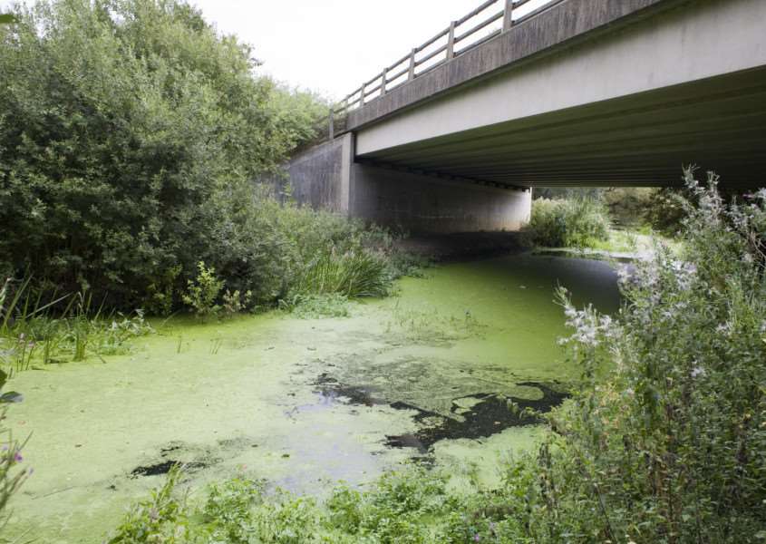 Scole, Norfolk. The River Waveney. 26th Aug 2009