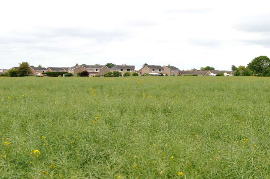 Land north of Frenze Hall Lane.