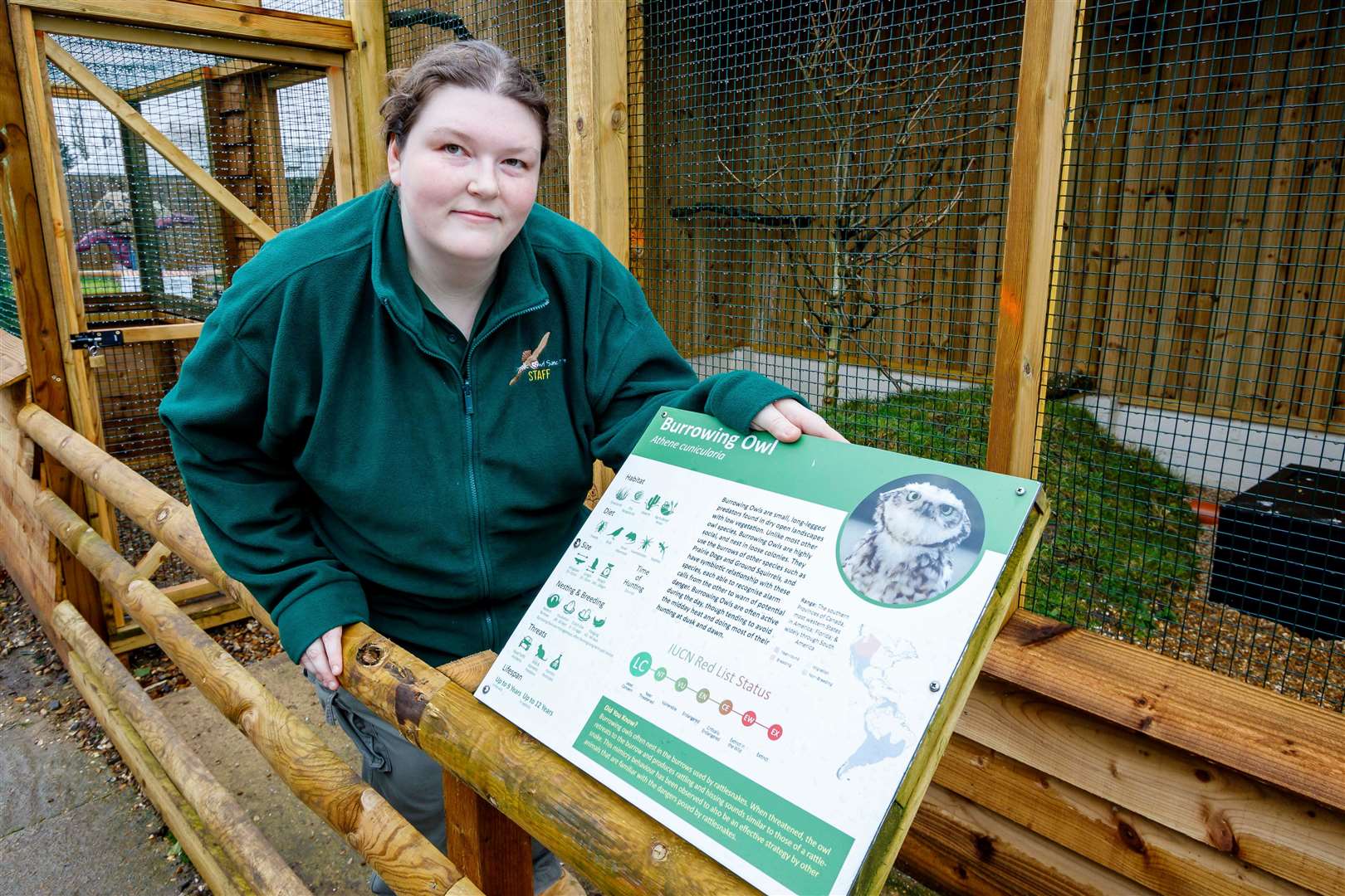 Stonham Barns’ Amy Holdstock by the newly-built burrowing owl enclosure.