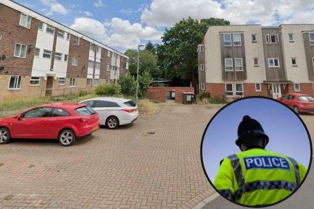 The raids took place in Ladbrooke Close, Diss. Picture: Google Maps