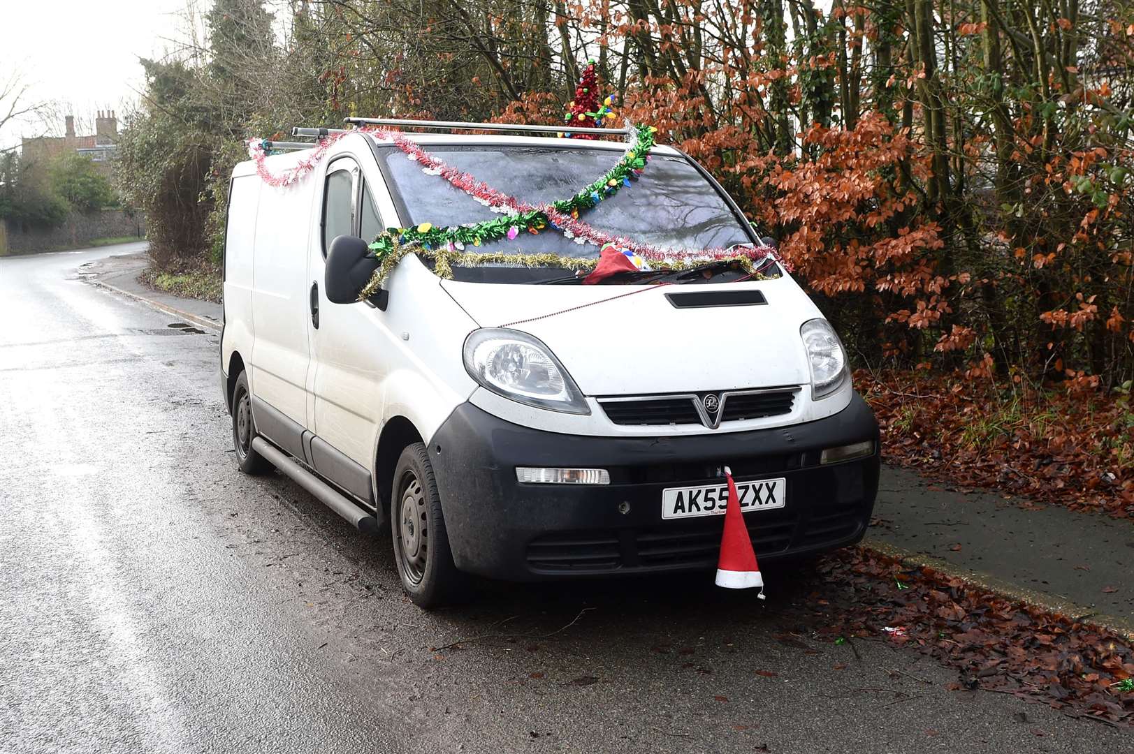 The decorated Vauxhall van that is parked in Banham Road, Kenninghall. Picture by Mecha Morton.