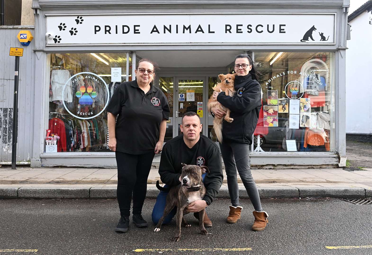 Diss, Mere Street, Pride Animal in crisis after major surge in demand over recent months Diss, Mere Street, Pride Animal in crisis after major surge in demand over recent months
