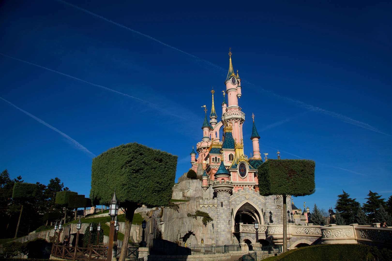 Jhaj is accused of staging a mock wedding with a child bride at Disneyland Paris (Alamy/PA)
