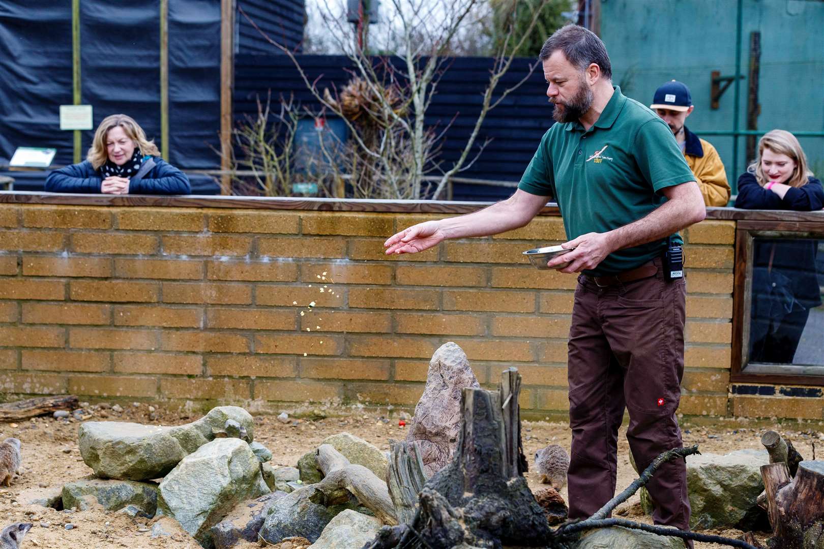 Keeper Luke Johnson giving a talk about meerkats.