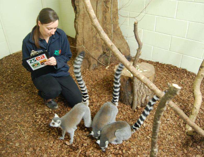 Jade House of Banham Zoo taking part in the yearly count of animals. ANL-170301-163153001