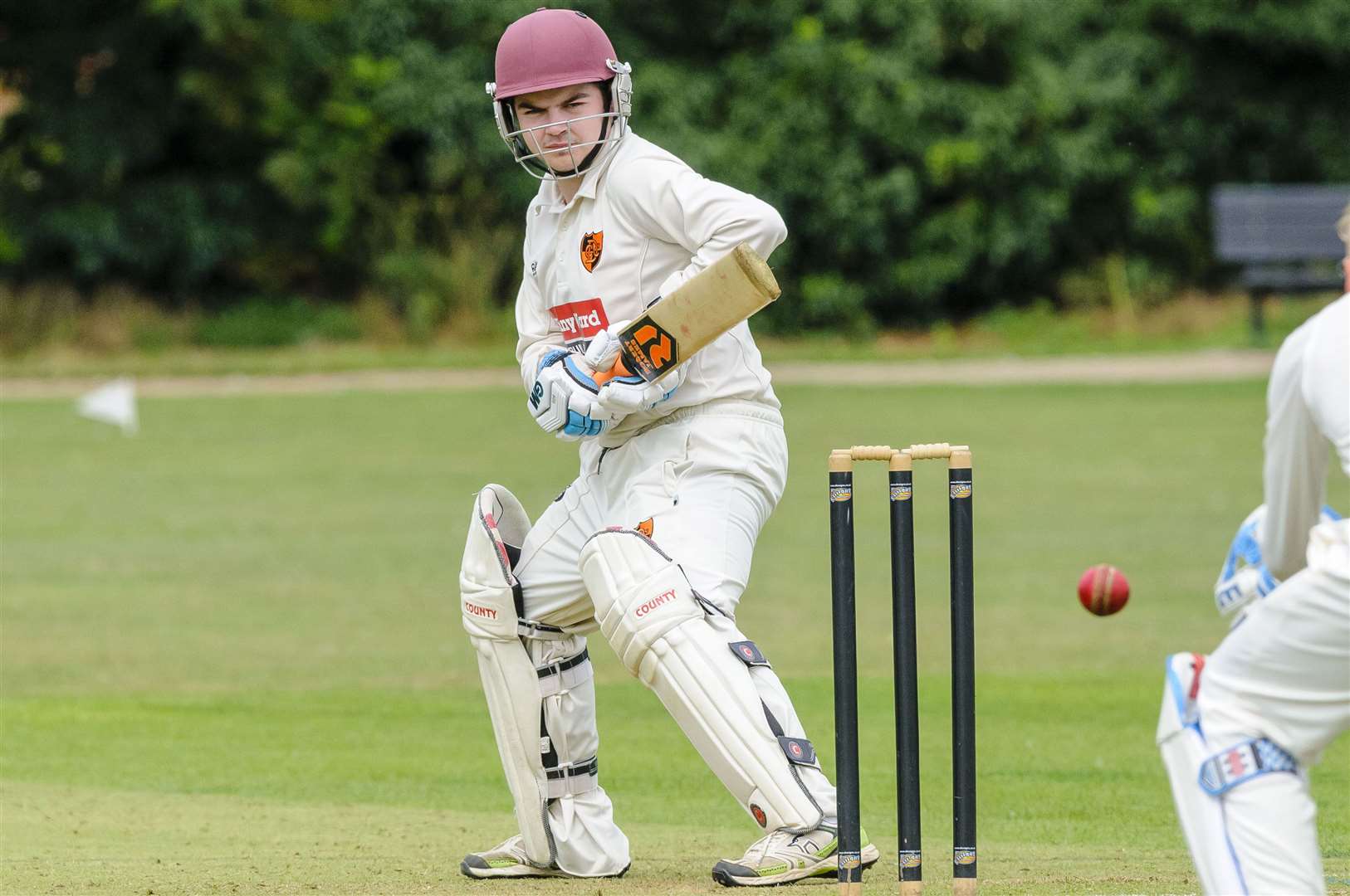 Diss skipper Lewis Taylor is hoping for a better end to the season. Picture: Mark Bullimore