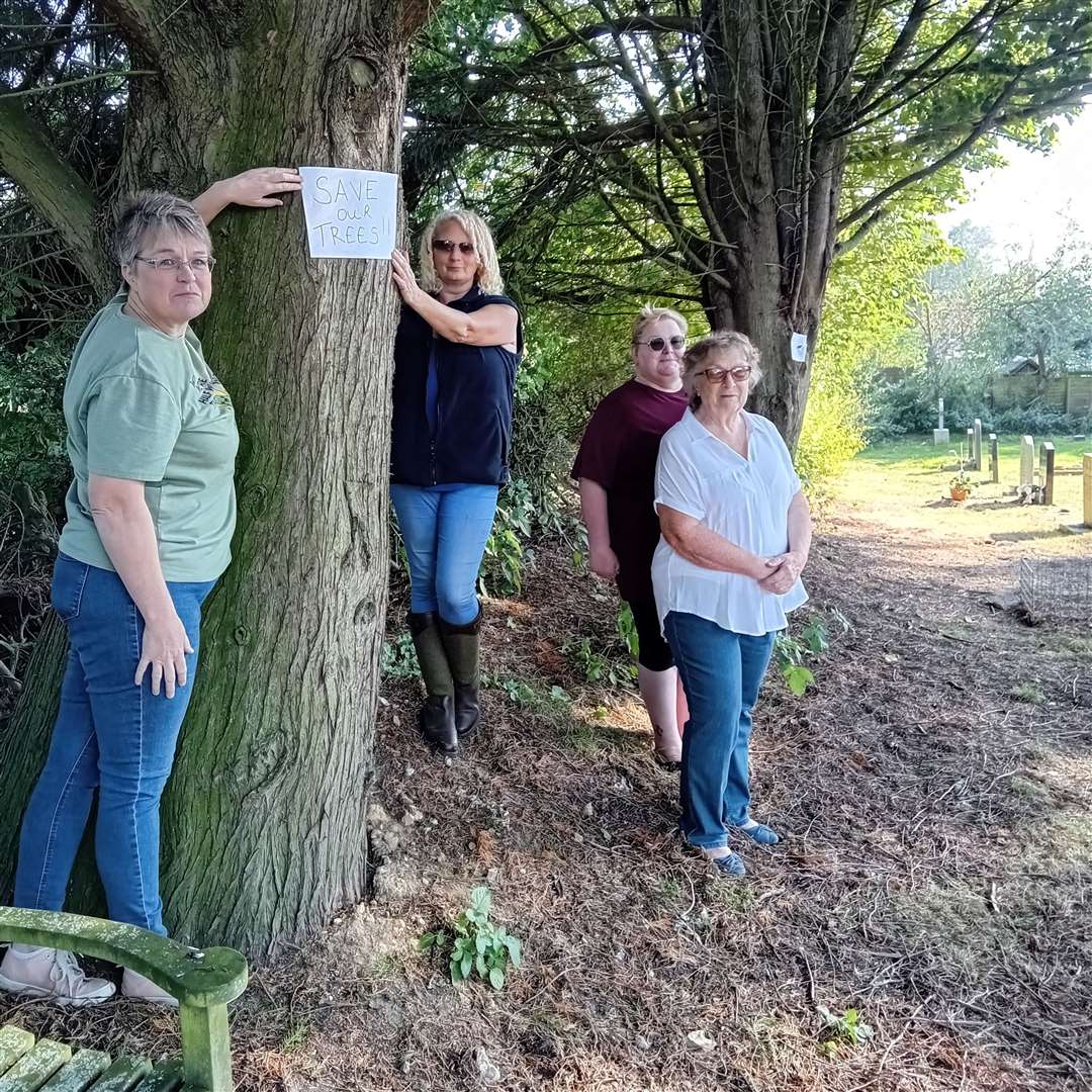 Debra Houldey, Kim Crispin, Caroline O'Donnell and Anne lockwood with the two trees in Eye Cemetery. Picture submitted