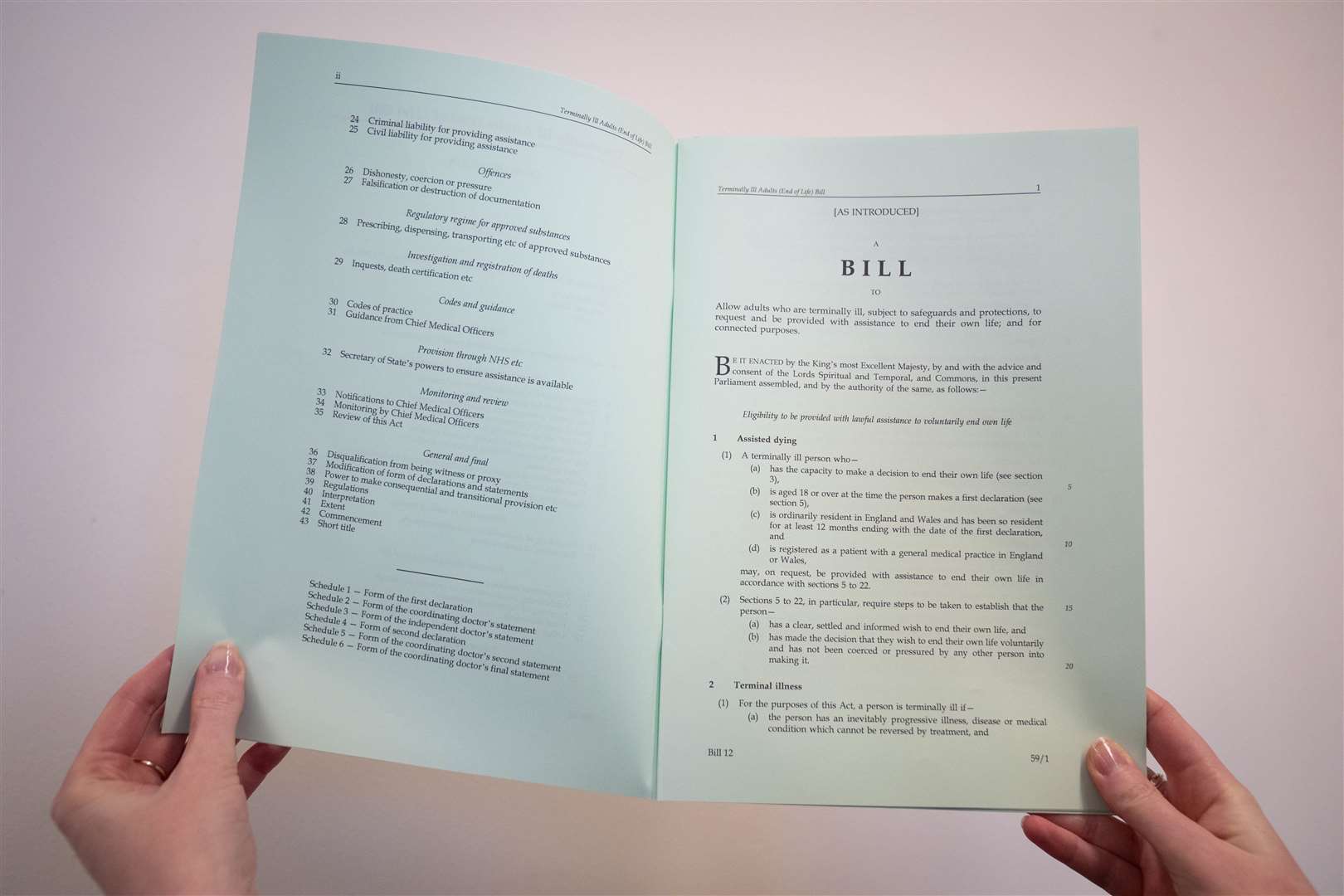 The Terminally Ill Adults (End of Life) Bill has since been amended by a committee (Stefan Rousseau/PA)