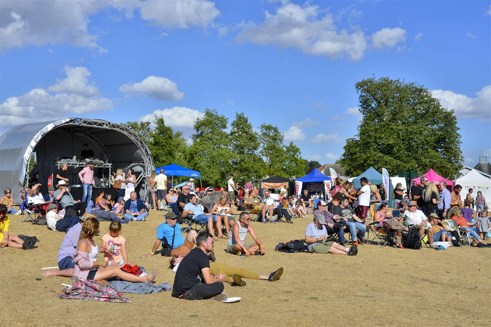 Gig in the Park in Diss Park last year.
