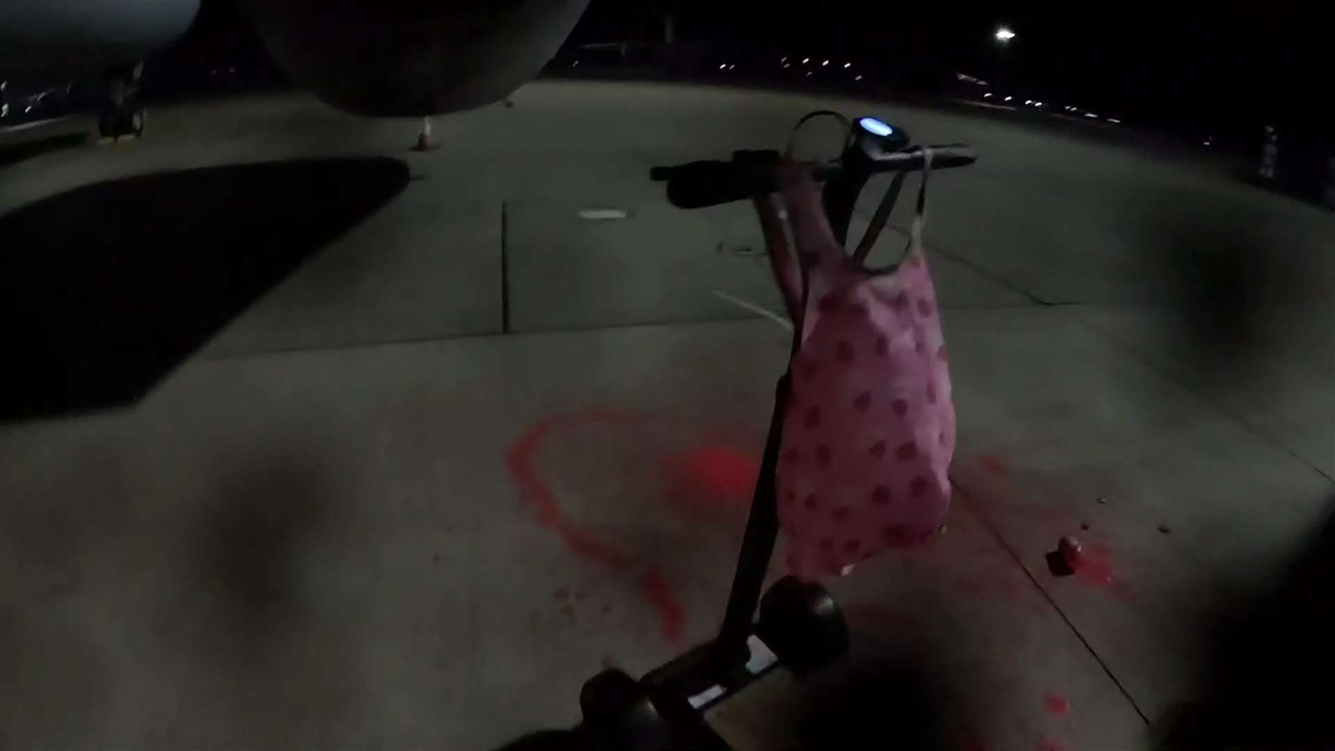 Pro-Palestinian activists broke into RAF Brize Norton in Oxfordshire (Palestine Action/PA)
