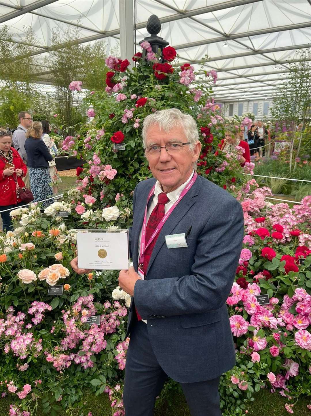 Nursery manager for Peter Beales Roses, Ian Limmer, with the RHS Chelsea Flower Show gold medal certificate. Picture: Peter Beales