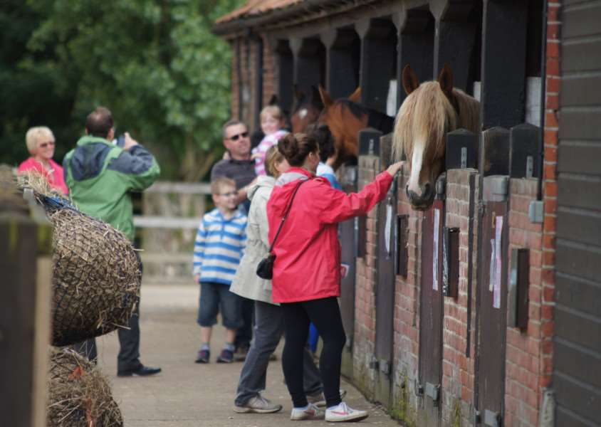 Redwings will host an open day at its Hapton headquarters on Sunday, July 23. Submitted photo.