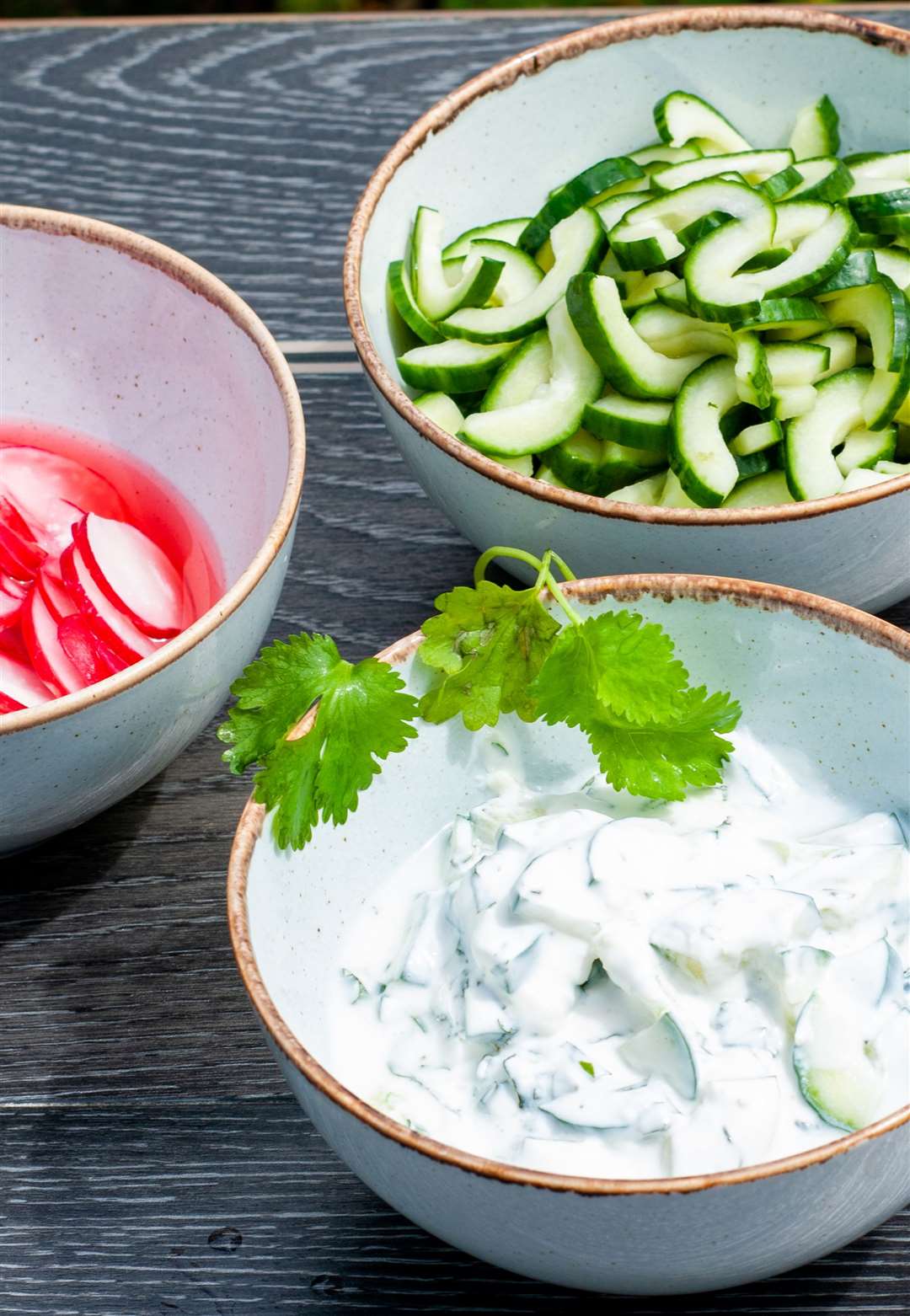 Sides the course attendees prepared included a tzatziki and a radish dish