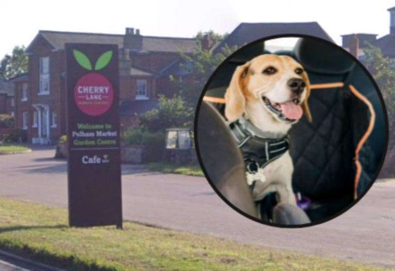 Cherry Lane Pulham Market installs scented floors to help with pet department sales