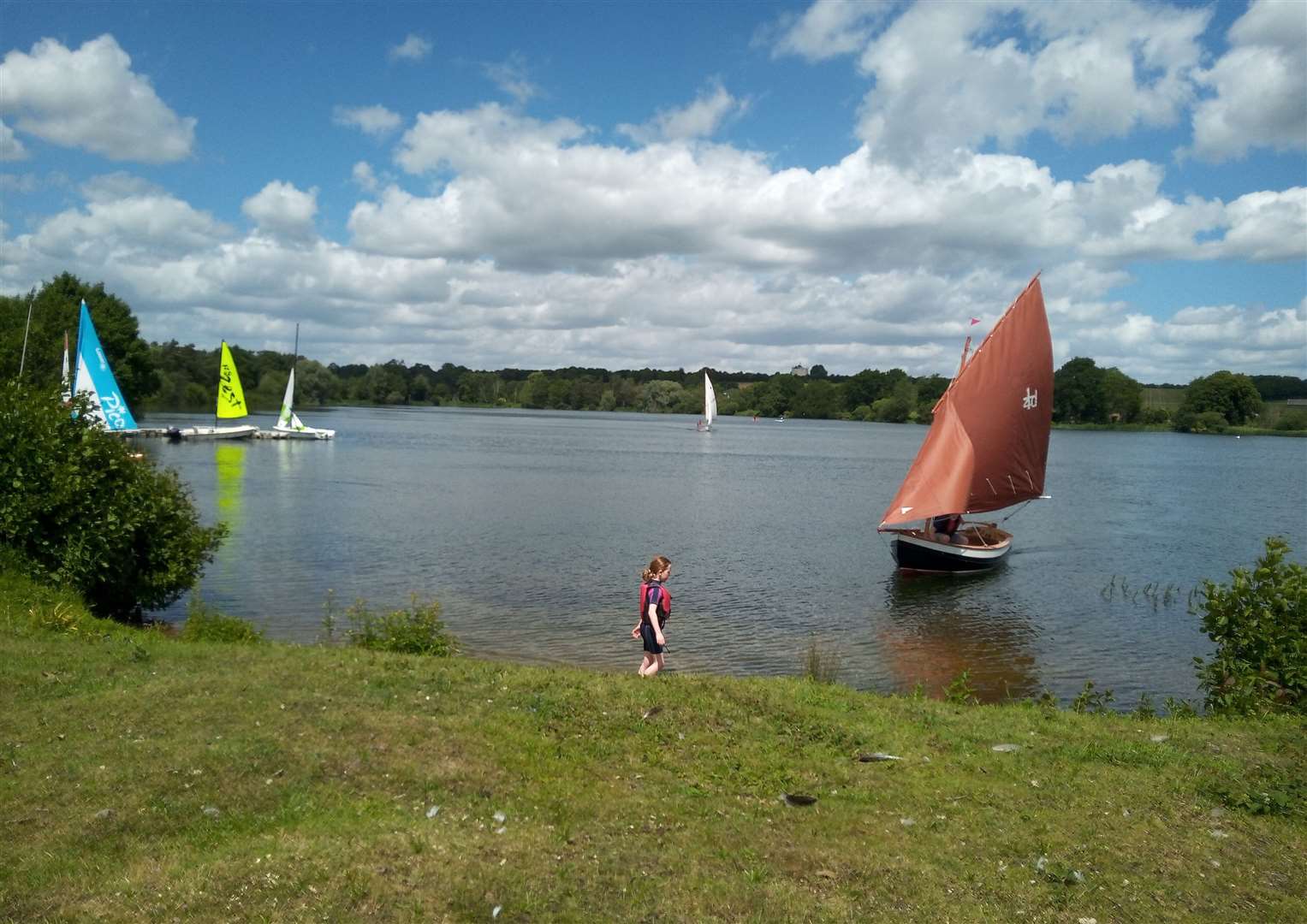 Sailing is on of the current activities