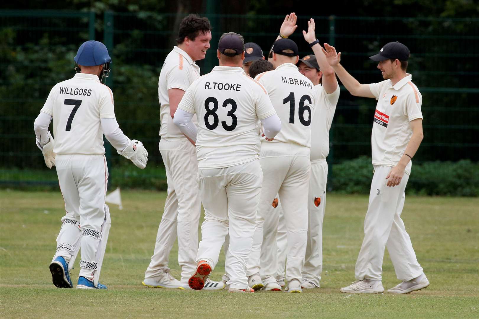 Diss celebrate taking a wicket in their match against Thetford Town earlier this month. Picture: Mark Bullimore