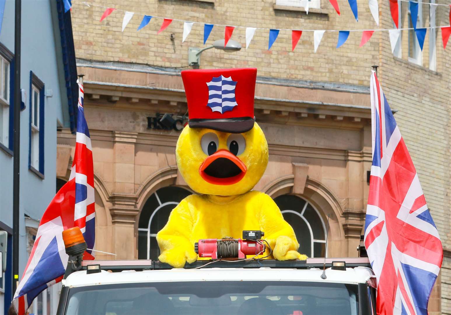 Dinsdale the Duck. Pictures: Gary Donnison