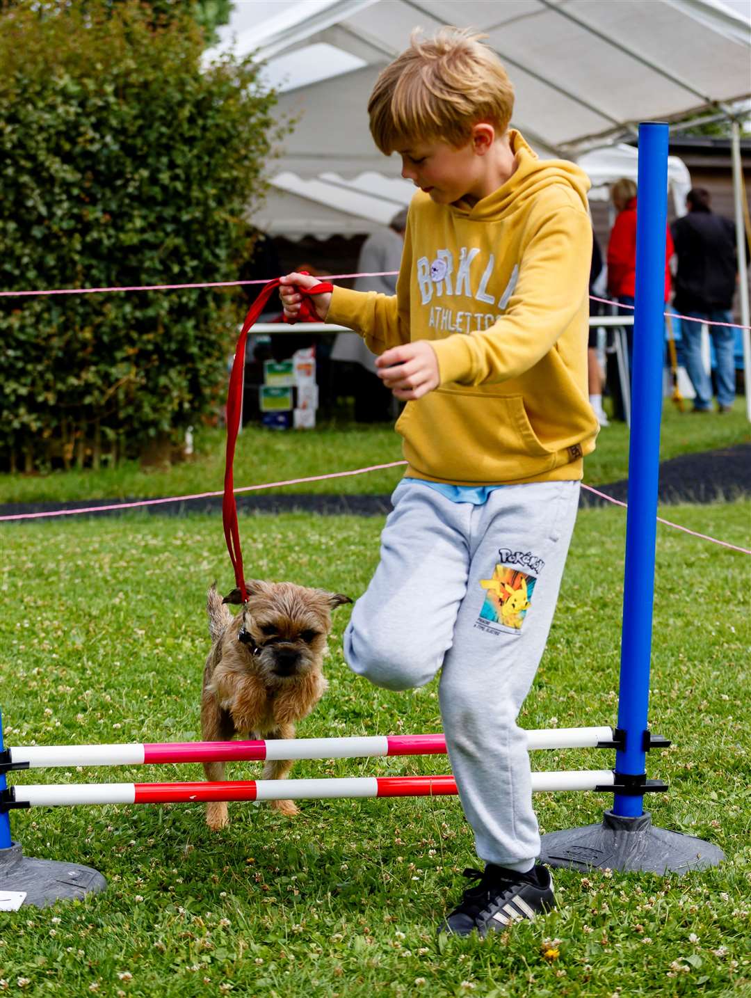Harry Jones with Stanley the dog. Picture: Mark Bullimore