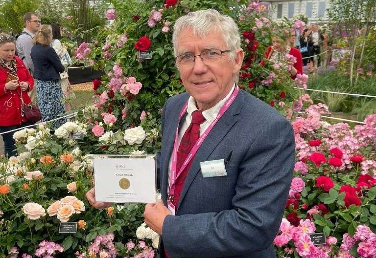 Chelsea Flower Show gold medal for Peter Beales