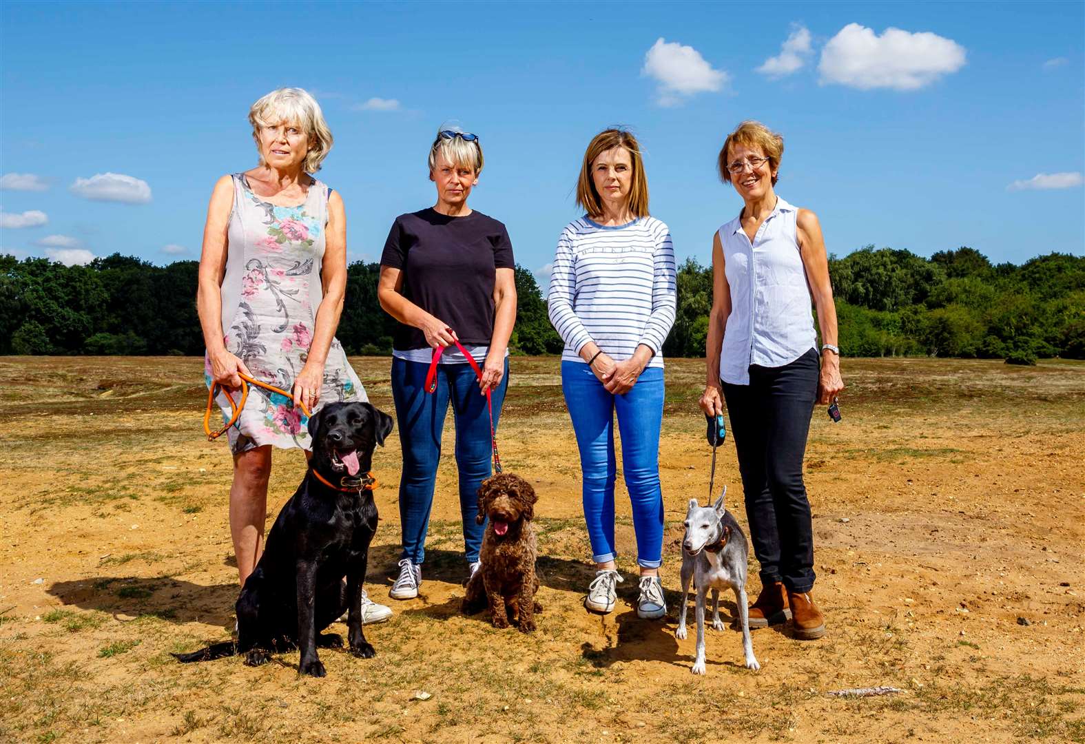 Wortham, Suffolk, 26/07/2023Local residents who are against the proposed National Grid construction of Pylons near to Wortham Ling, pictured from left Ginny White with Margot, Christine Murton with Maisie, Karen Le Grys and Judi Haywood with Mouse. Picture: Mark Bullimore Photography 2023