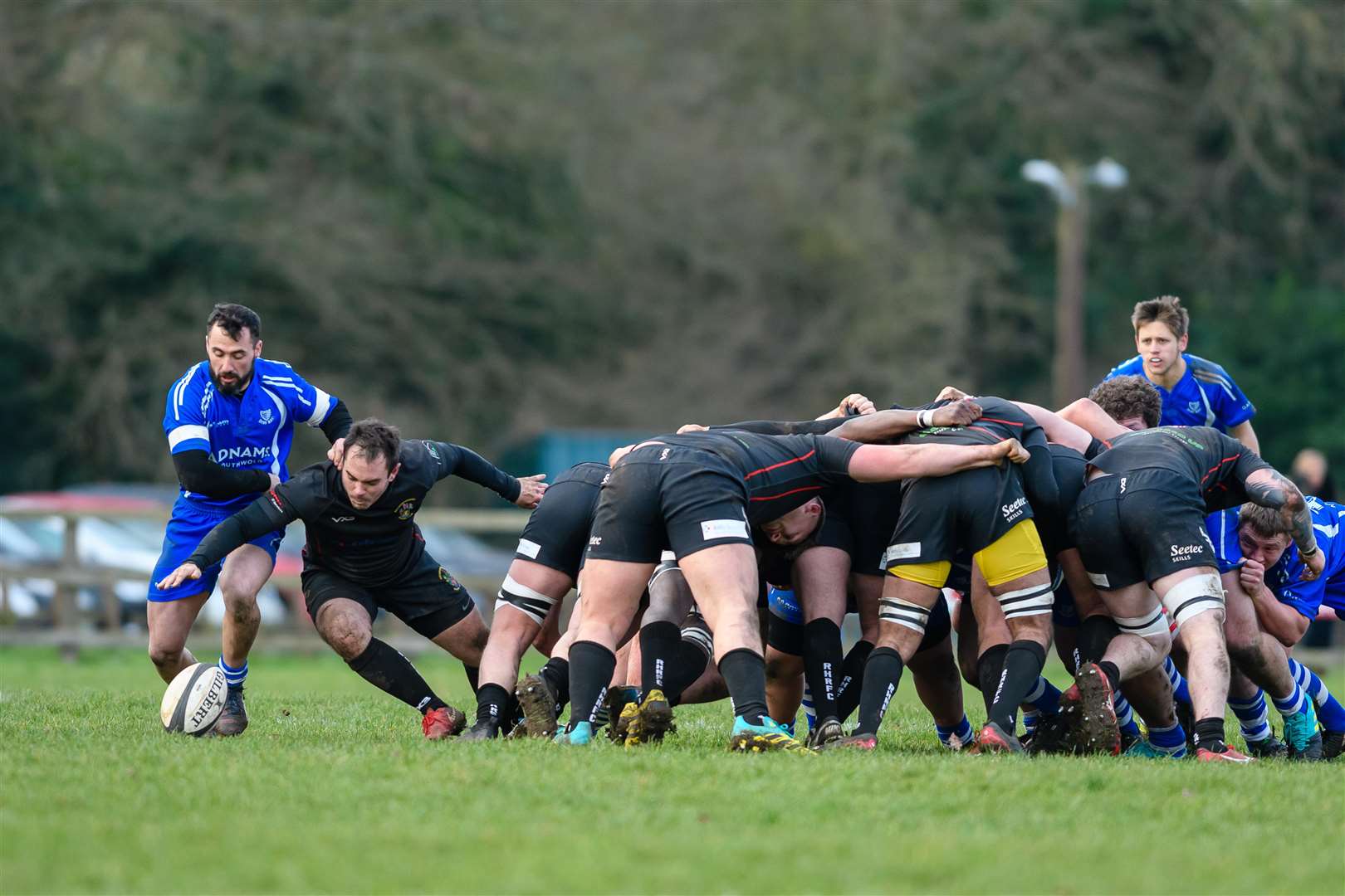 Rugby action from Diss v Rochford Hundred - Marco Mongia..Picture by Mark Bullimore Photography. (6622502)