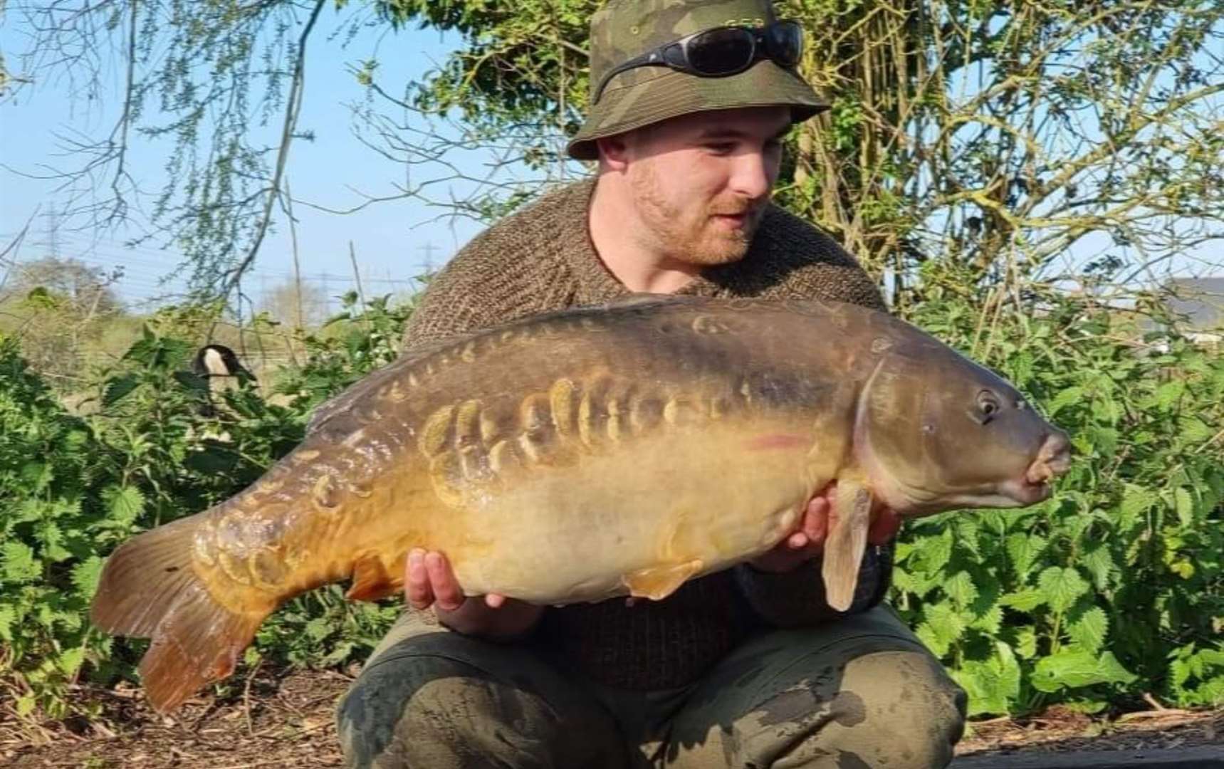 Rob's 31lb carp at Suffolk Water Park. Picture: Hayley Clapperton