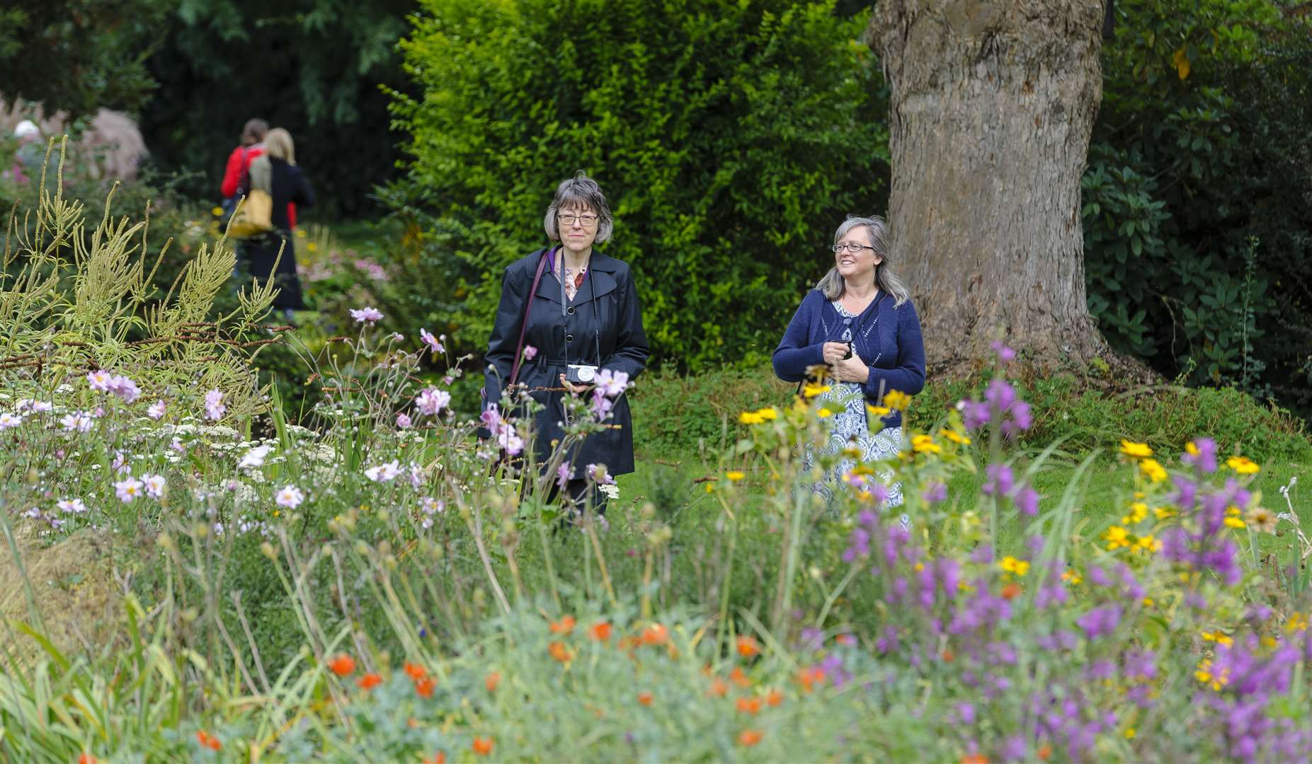 A picture of last year's open gardens in Bressingham. Picture by Mark Bullimore Photography.